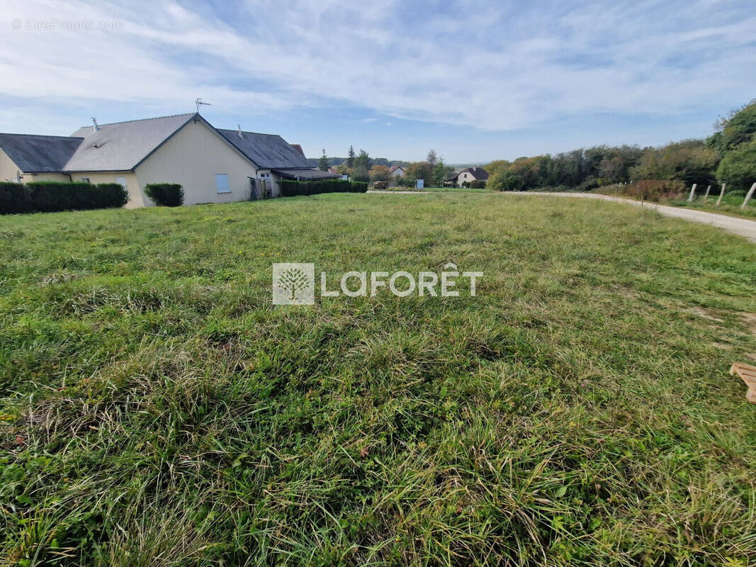 Terrain à VELLEXON-QUEUTREY-ET-VAUDEY