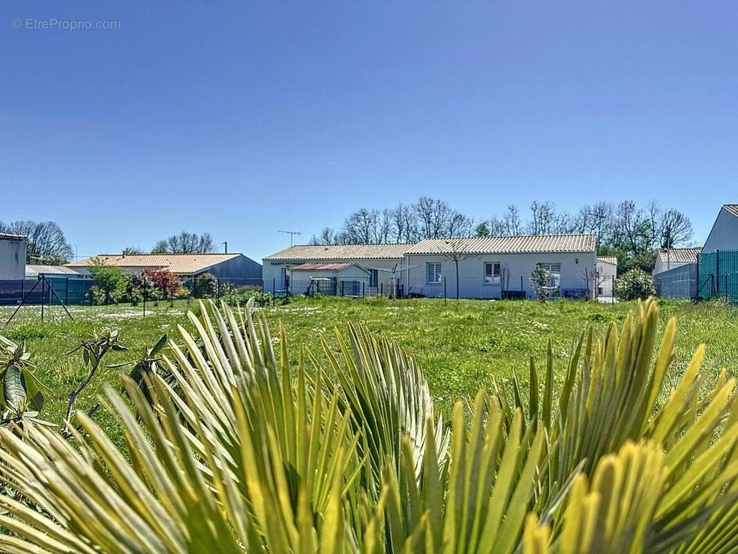 Photo 1 - Maison à COZES