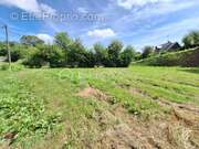 Terrain à MAYENNE