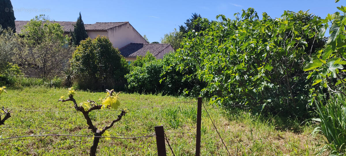 Maison à LA BASTIDONNE