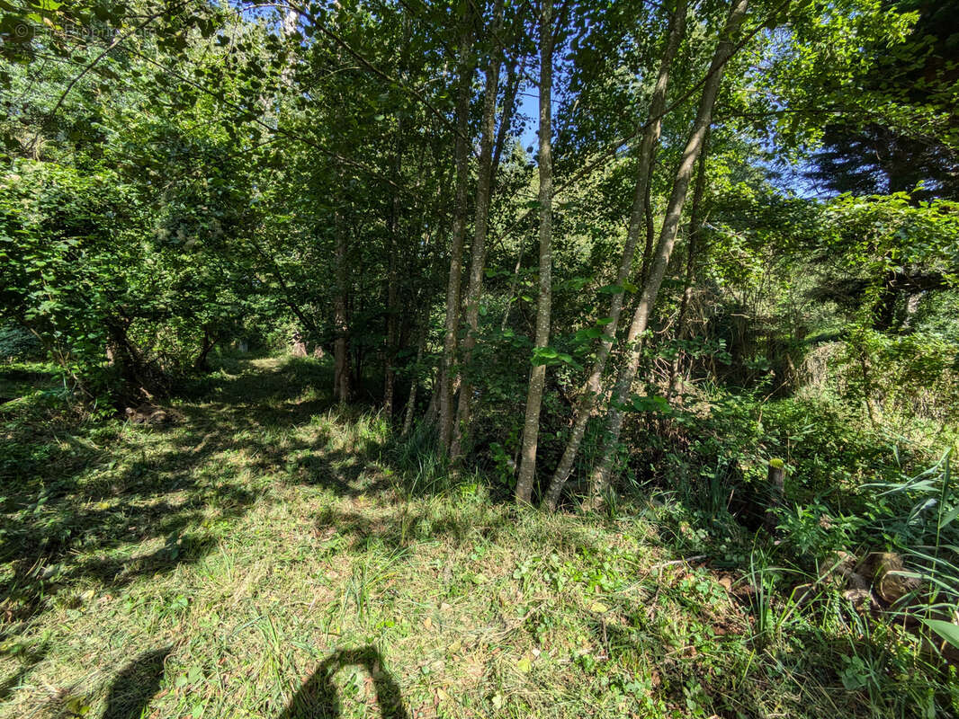 Terrain à MONTARGIS