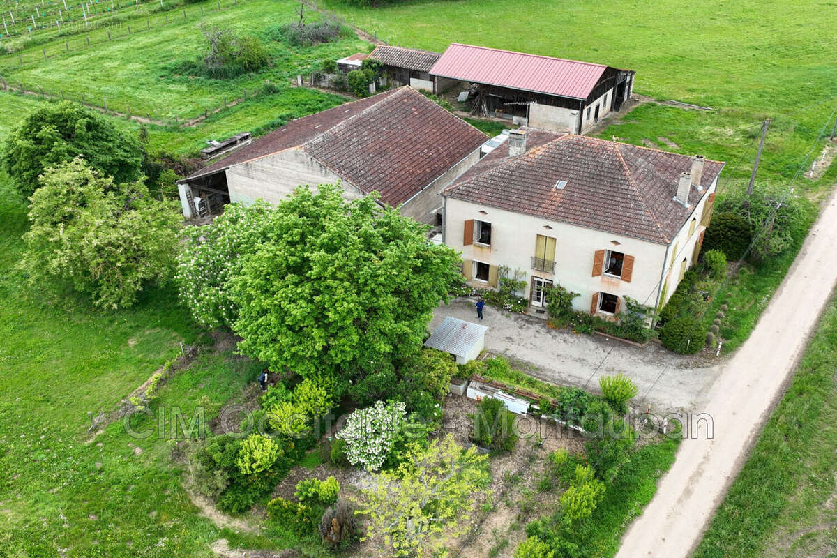 Maison à MOISSAC