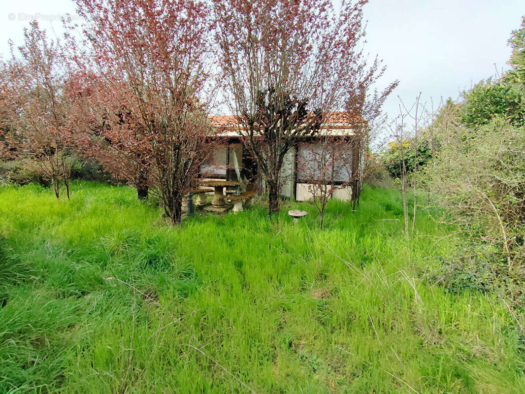 Maison à ANGLES