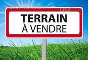 Terrain à L&#039;ISLE-D&#039;ABEAU