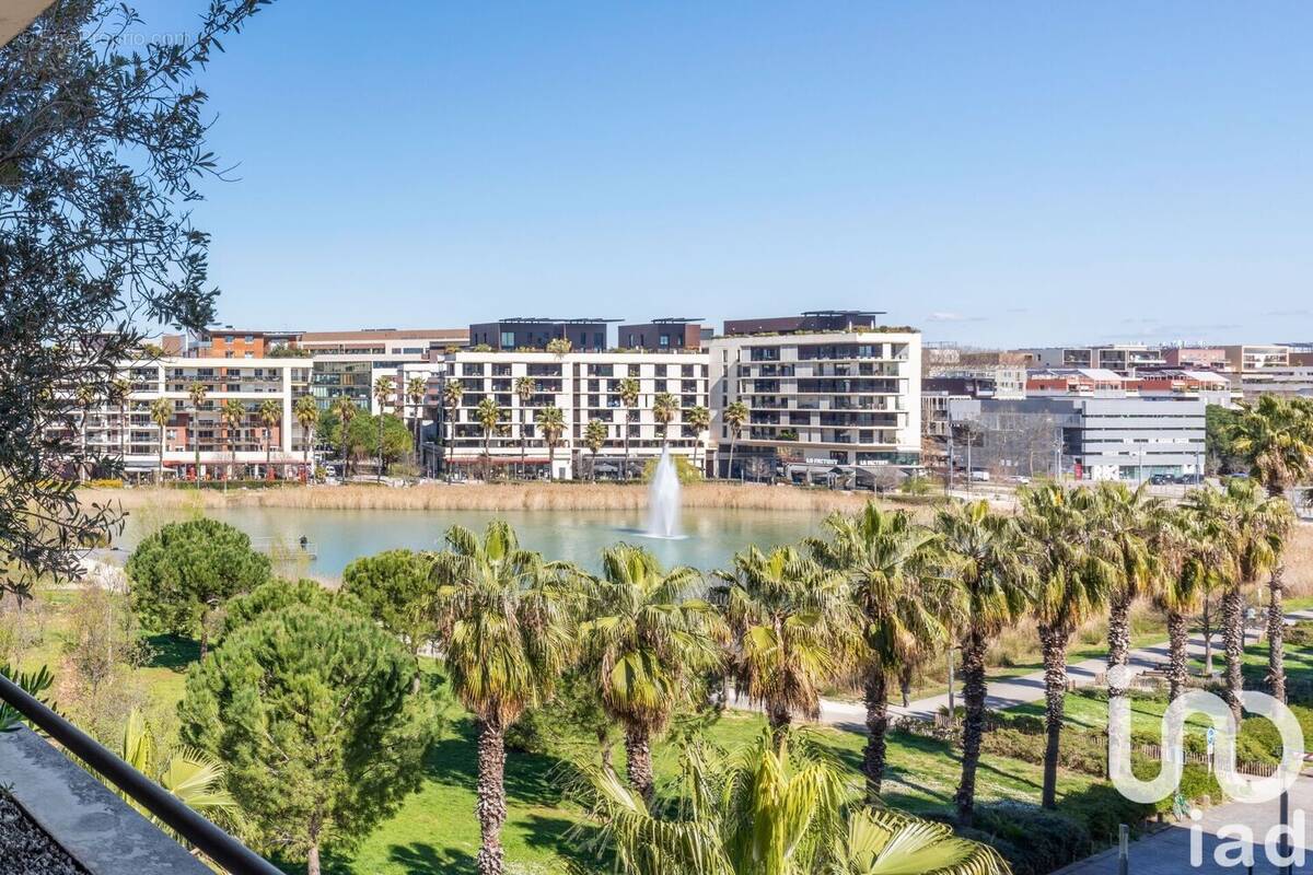 Photo 1 - Appartement à MONTPELLIER