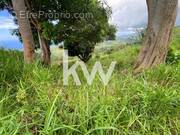 Terrain à LE MORNE-VERT