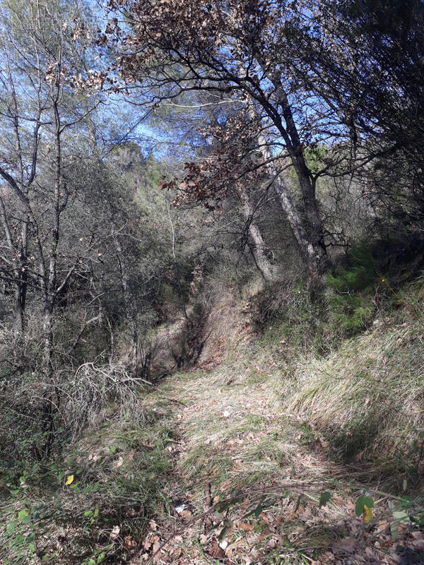 Terrain à L&#039;ESCARENE