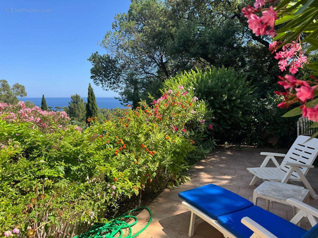 Appartement à LE LAVANDOU