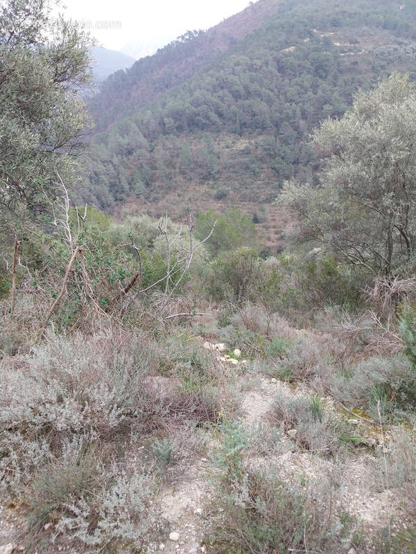 Terrain à L&#039;ESCARENE