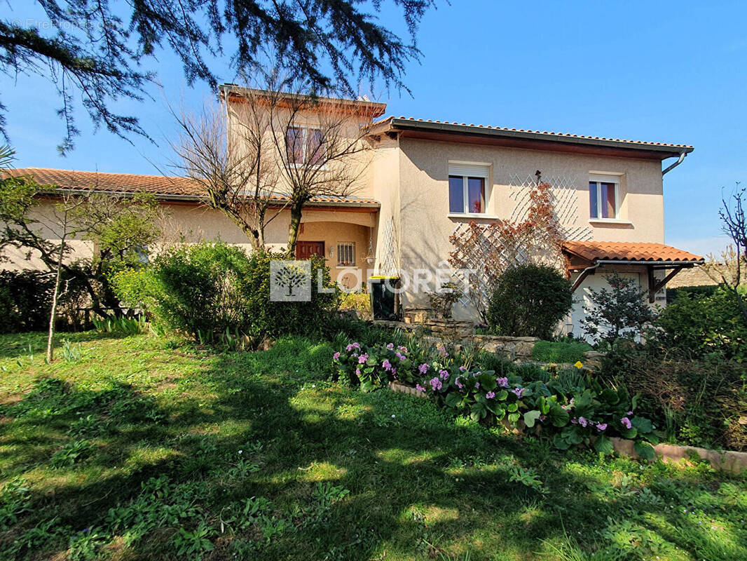 Maison à NEUVILLE-SUR-SAONE