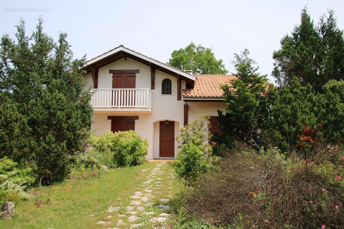 Photo 4 - Maison à CANEJAN