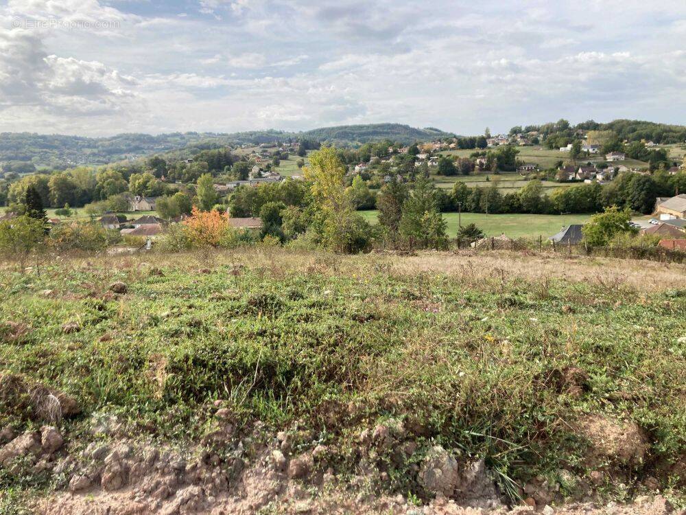 Terrain à LARCHE