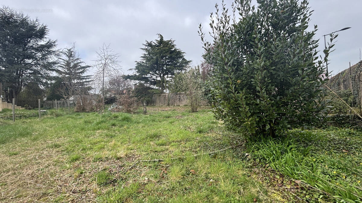 Terrain à CHEMILLE