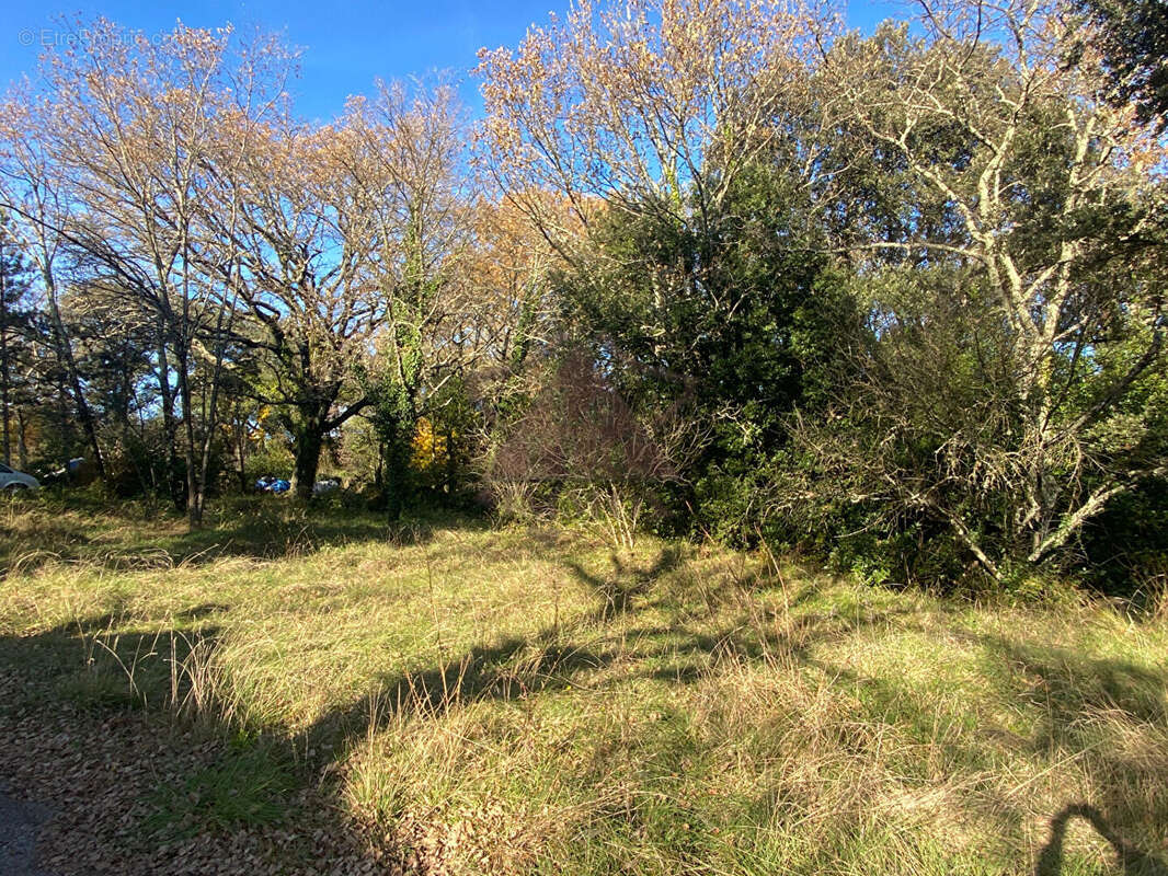 Terrain à MOLIERES-SUR-CEZE