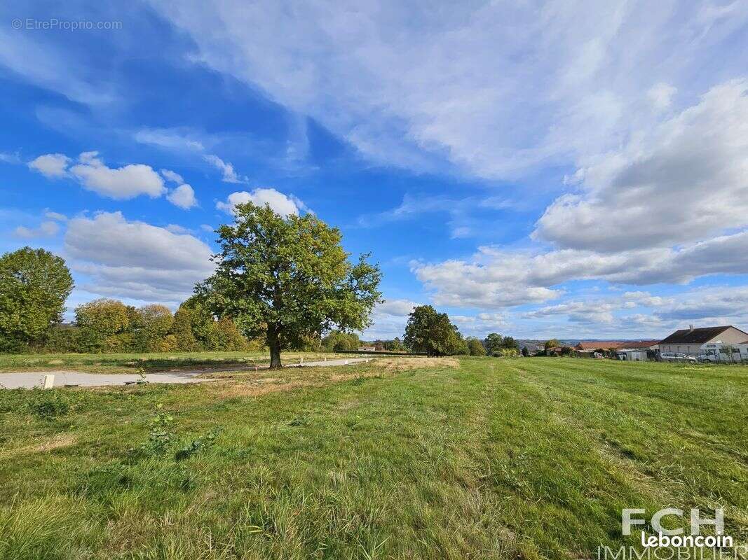 Terrain à BELLERIVE-SUR-ALLIER