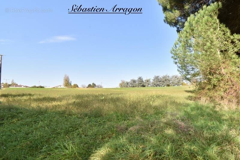 Terrain à VILLENEUVE-SUR-LOT