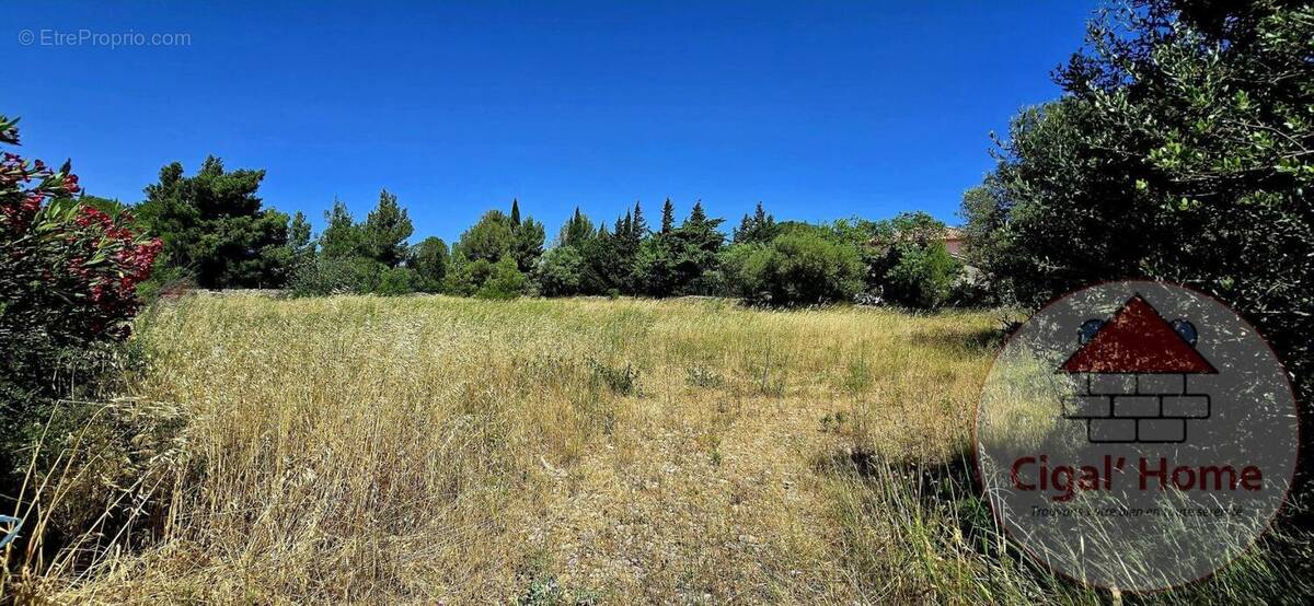 Terrain à LA PALME