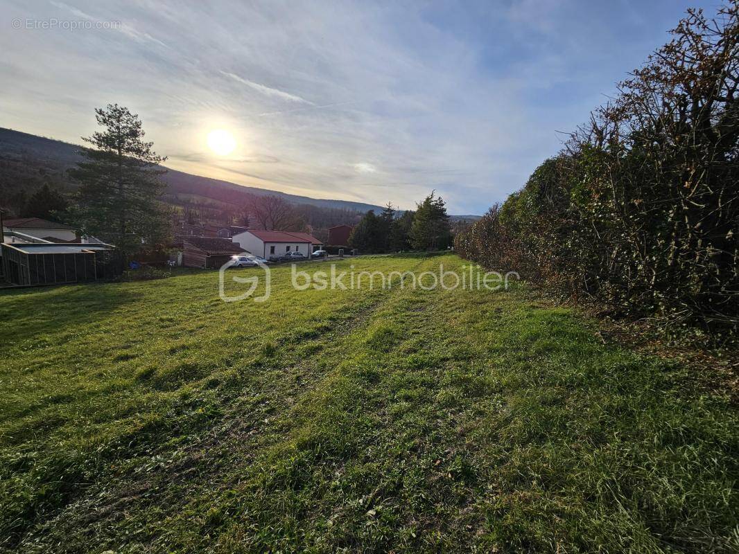 Terrain à LA ROCHE-BLANCHE