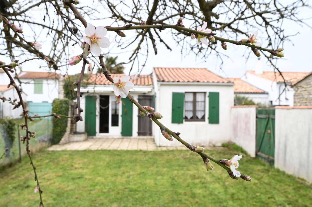 Maison à SAINTE-MARIE-DE-RE