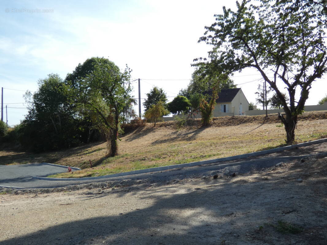 Terrain à BRIVE-LA-GAILLARDE