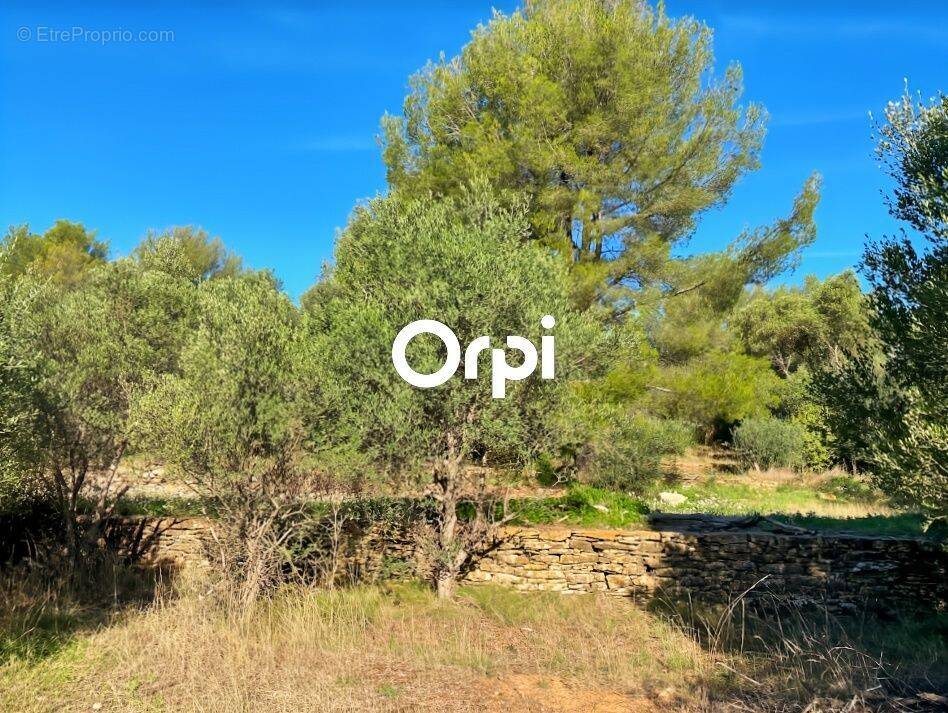 Terrain à LA CIOTAT