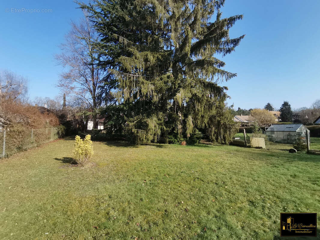 Terrain à ROCHEFORT-EN-YVELINES