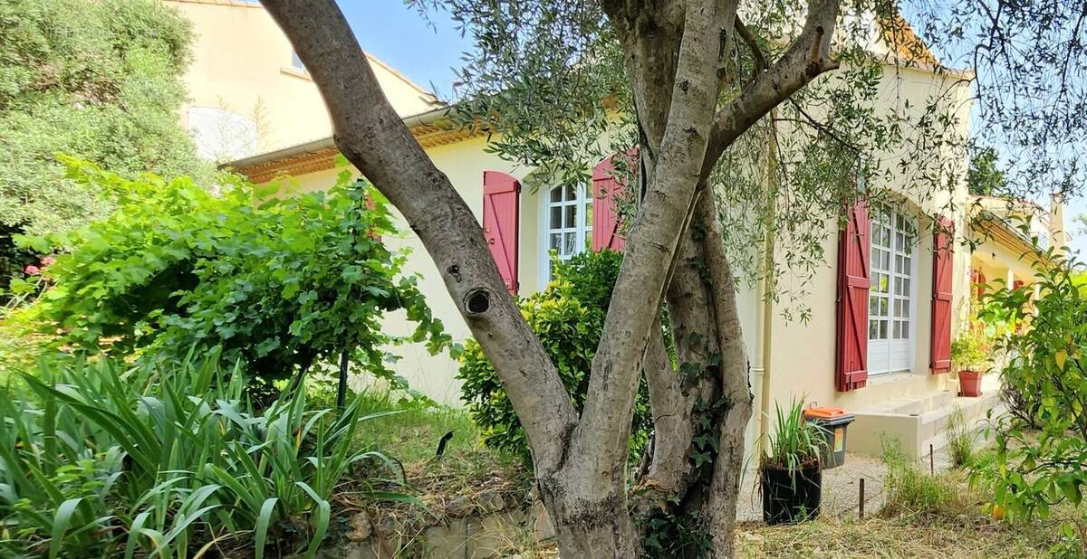 Maison à MONTPELLIER