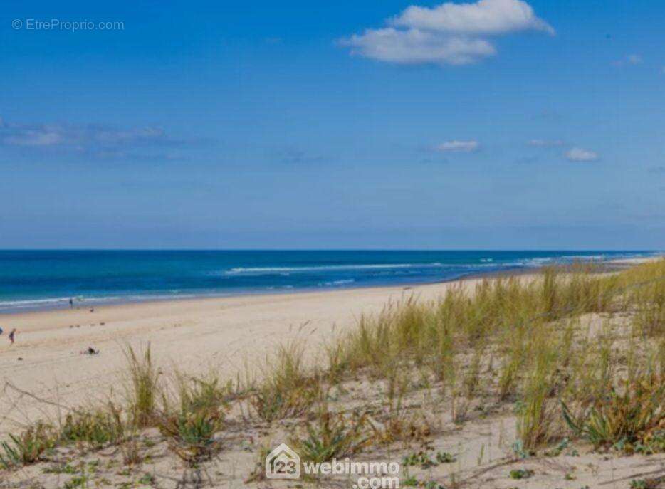 Fin de journée paisible à la plage... à quelques pas seulement de votre futur studio ! - Appartement à LACANAU