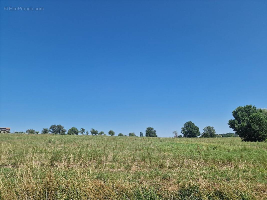Terrain à PUYOO