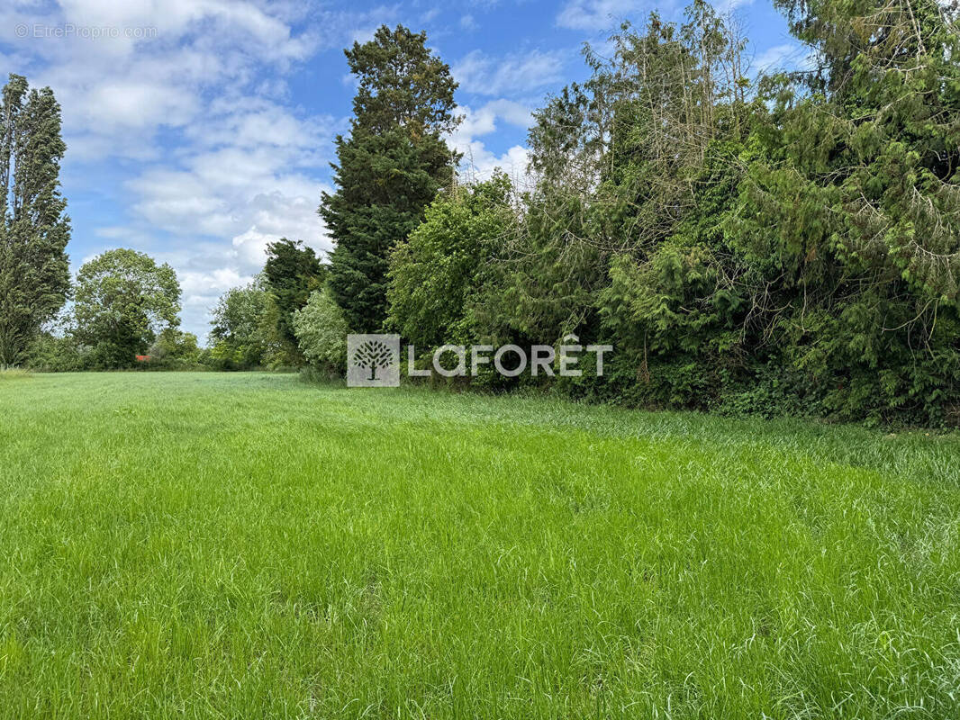 Terrain à AUBERCHICOURT