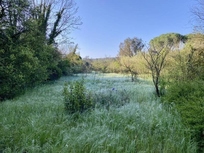 Terrain à CLAPIERS