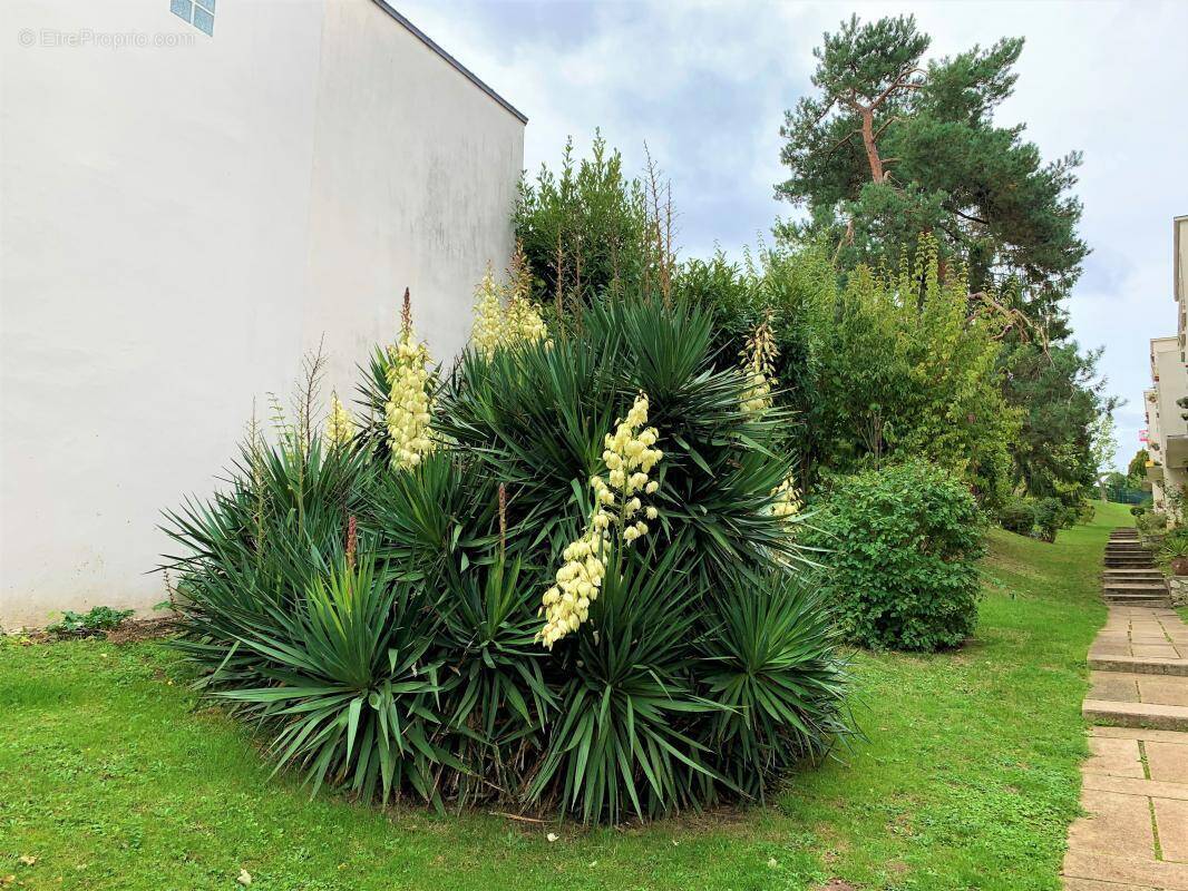 Appartement à SCEAUX