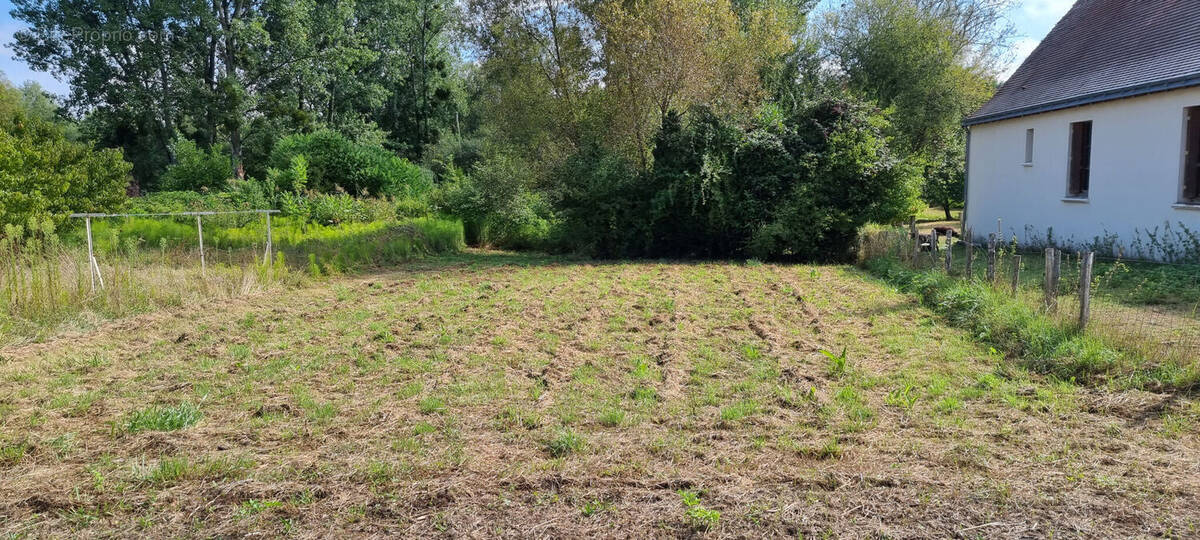 Photo 1 - Terrain à LANGEAIS