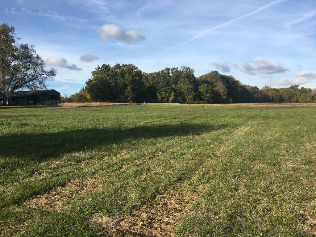 Terrain à SAINT-GERMAIN-D&#039;ESTEUIL