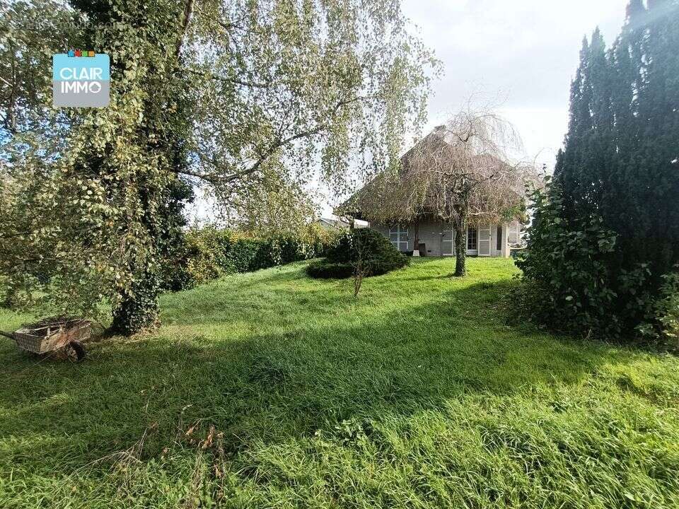 a vendre, proche Macon , replonges, maison, jardin, parc, - Maison à REPLONGES