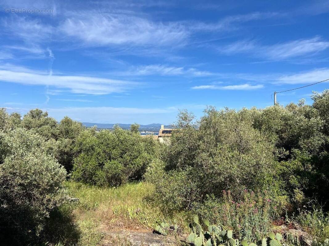 Terrain à LA CIOTAT