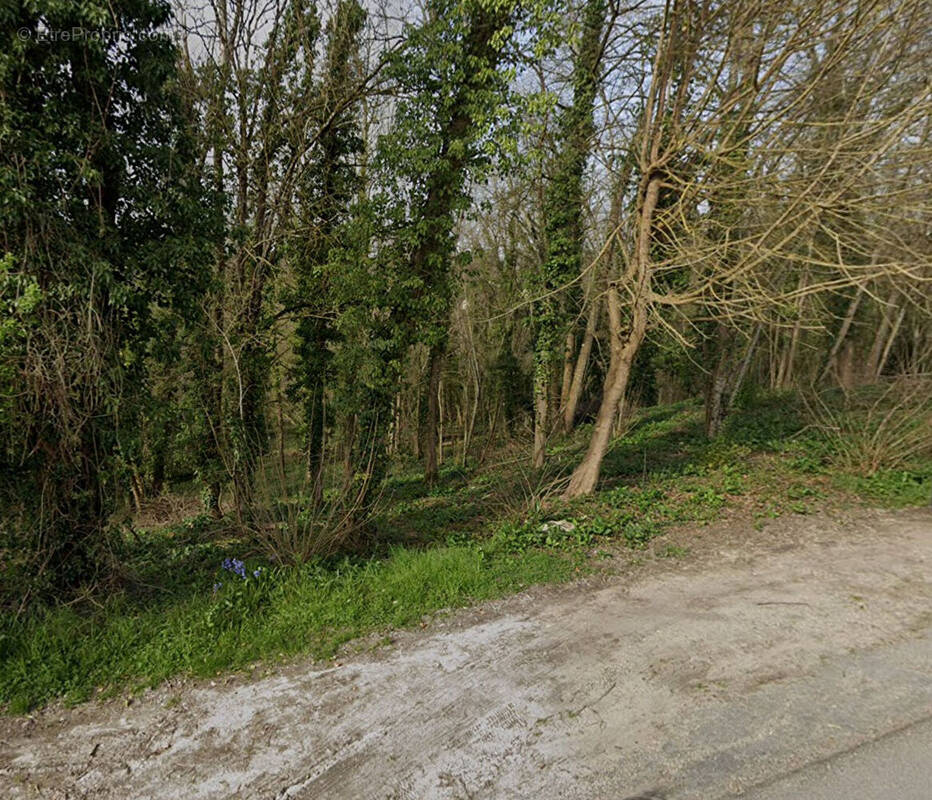 Terrain à FONTAINE-LE-PORT