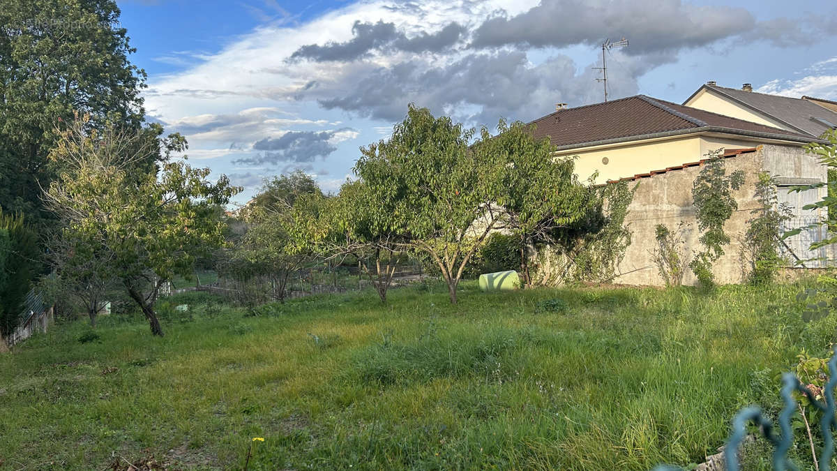 Terrain à CATTENOM