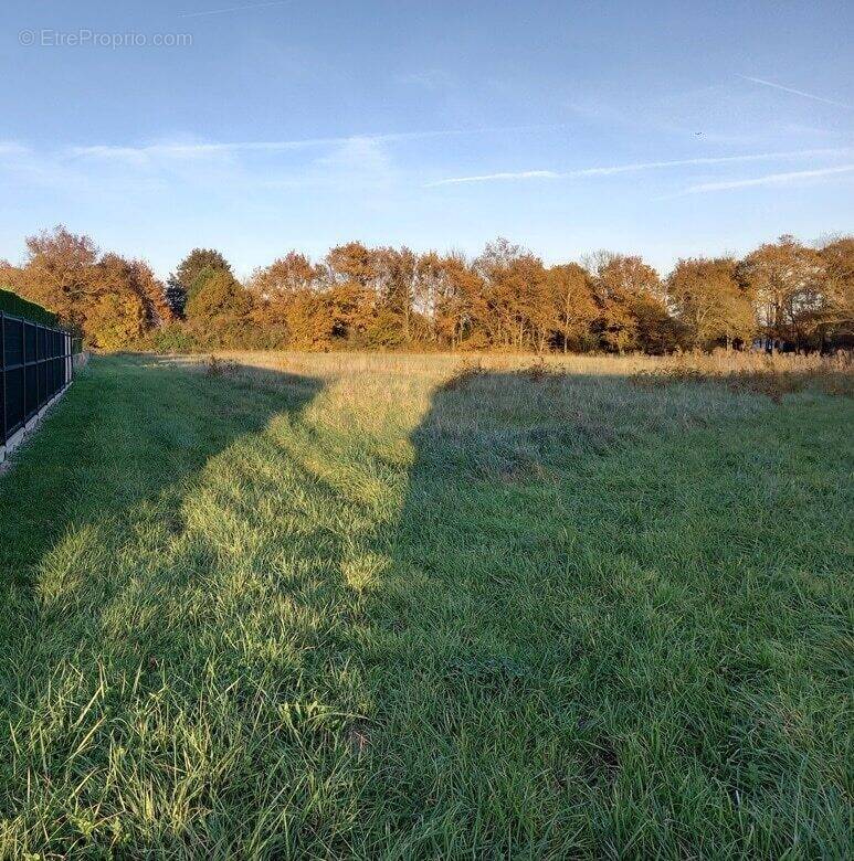 Terrain à SAUJON