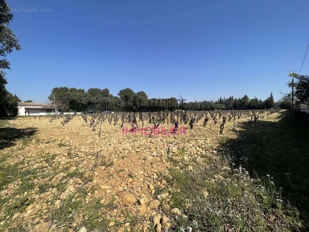 Terrain à SORGUES