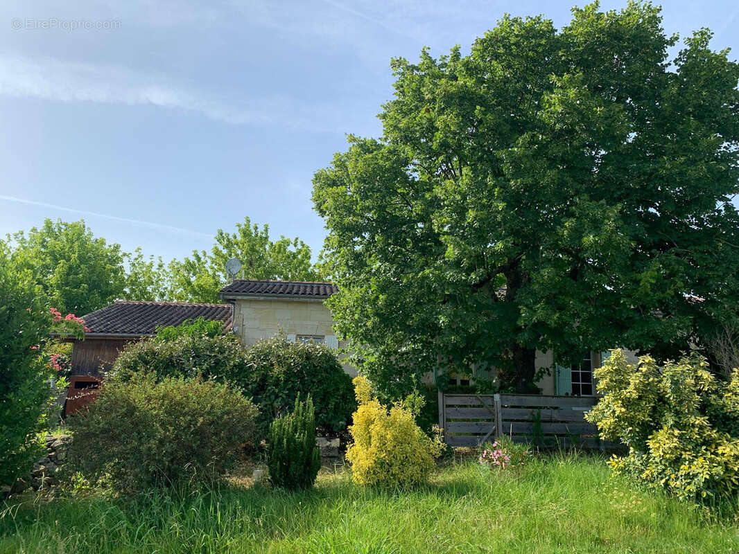 Maison à SAUVETERRE-DE-GUYENNE