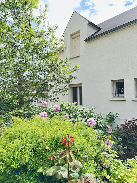 Maison à VAUX-SUR-SEINE