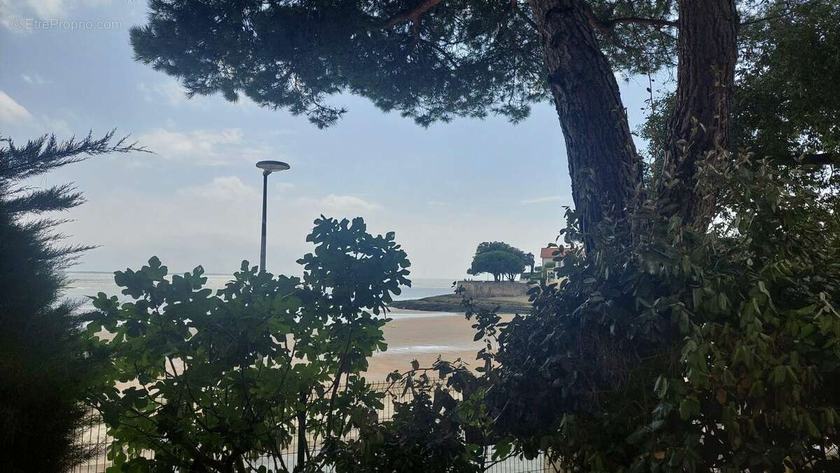 vue mer plage au pied de la maison - Maison à SAINT-PALAIS-SUR-MER
