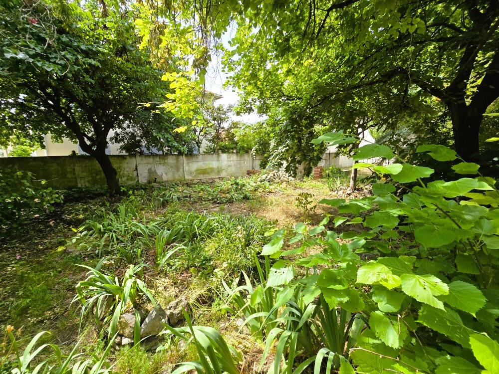 Terrain à NIMES