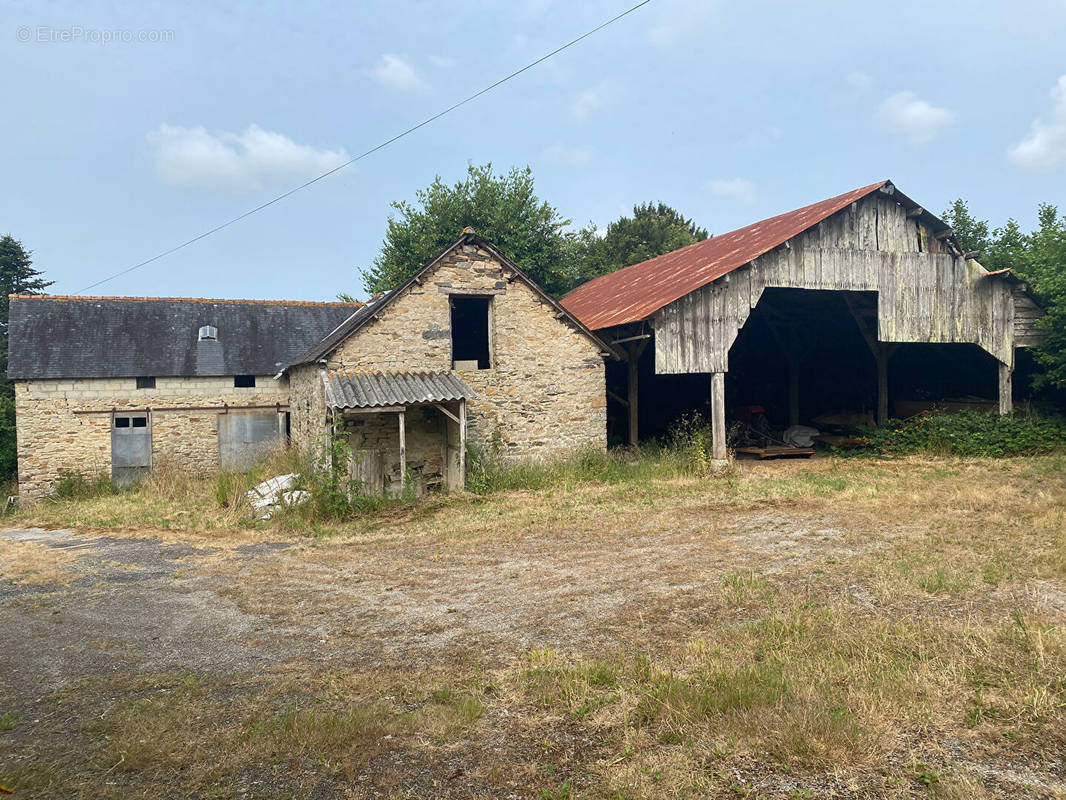 Maison à EDERN