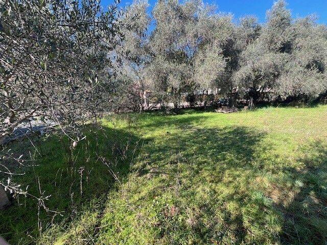 Terrain à GRASSE