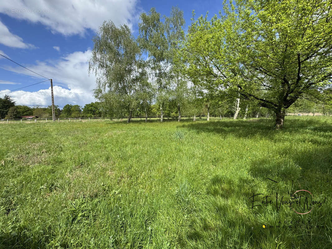 TERRAIN 9000m2 - Maison à LANGON