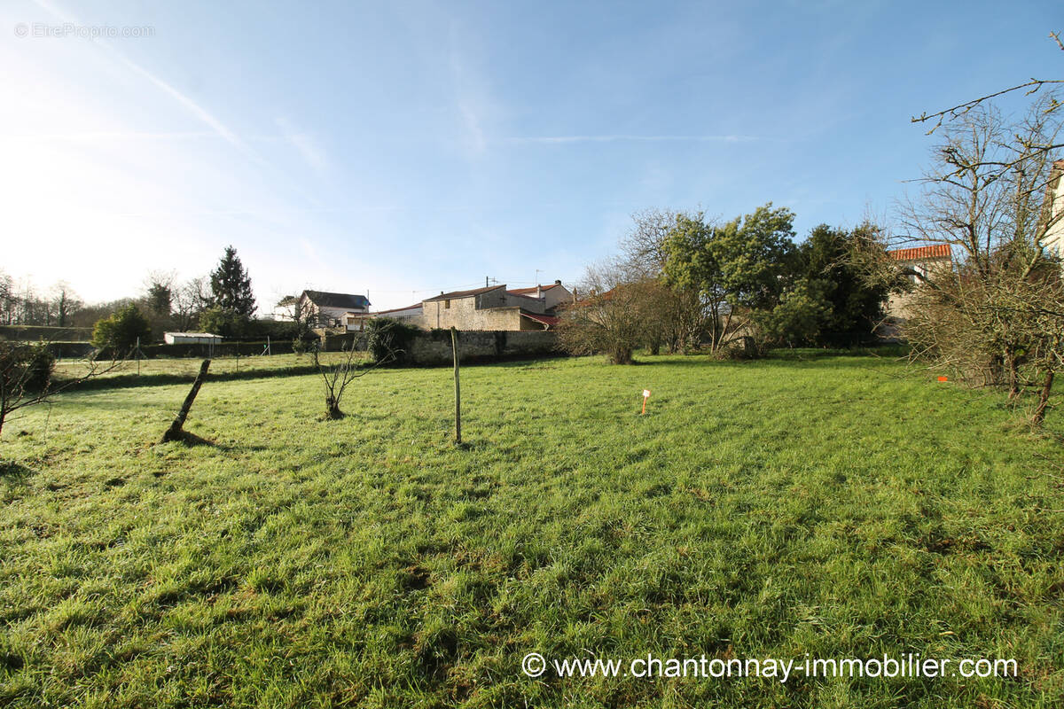 Terrain à CHANTONNAY