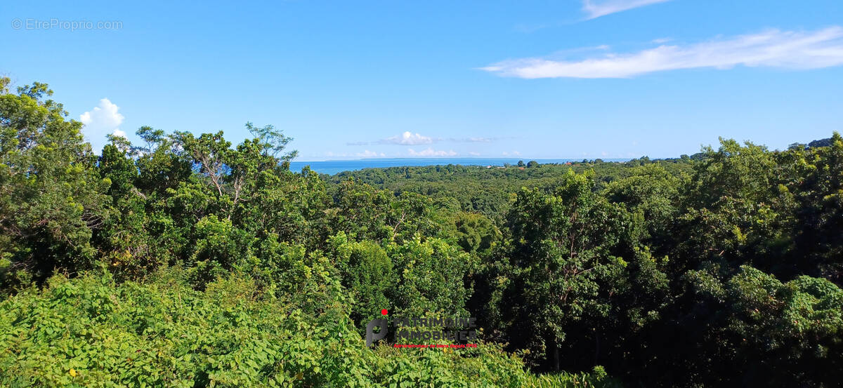Terrain à GOYAVE
