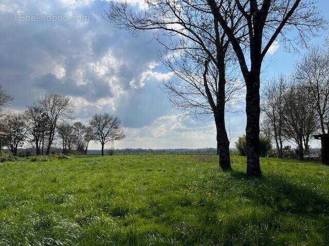 Terrain à NERCILLAC